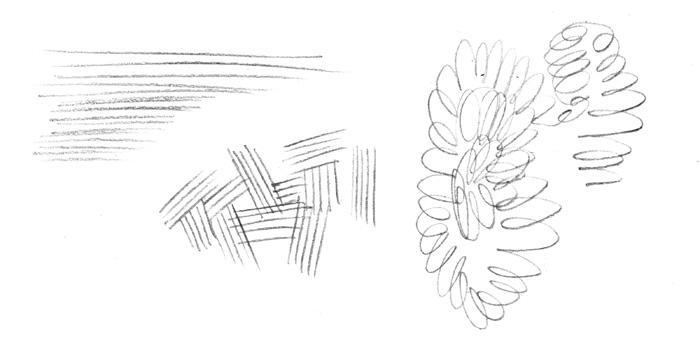 Warm-up 1: Lines