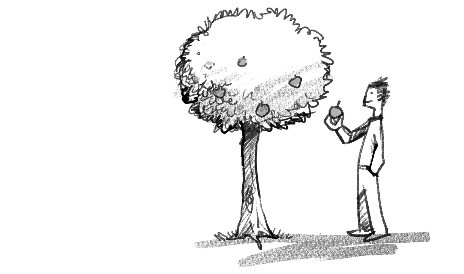 tree3
